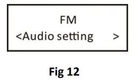 BERGSTORM H300 Personal Portable DAB Radio - button 13