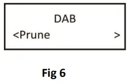 BERGSTORM H300 Personal Portable DAB Radio - button 4