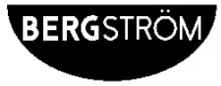 BERGSTORM logo