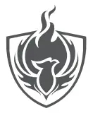 PHOINiKAS Q5 Wireless Over Ear Headphones - fifg