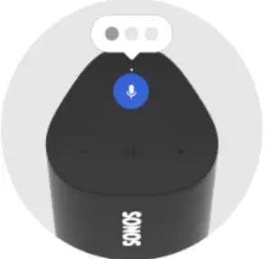 SONOS ROAM1US1 Portable Smart Speaker-FIG4