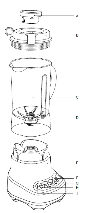 sage-BBL620 -W-the-Fresh &-Furious-Blender-1