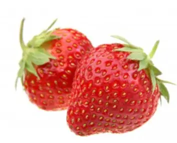 Peaceful-Valley-Strawberry-Planting-and-Growig-product-image