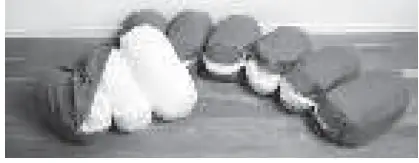 PROTAC SensCircle 100% Polyester Multi Pillow User Manual 02