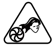 ECHO DPB-2500 Blower - icon 6