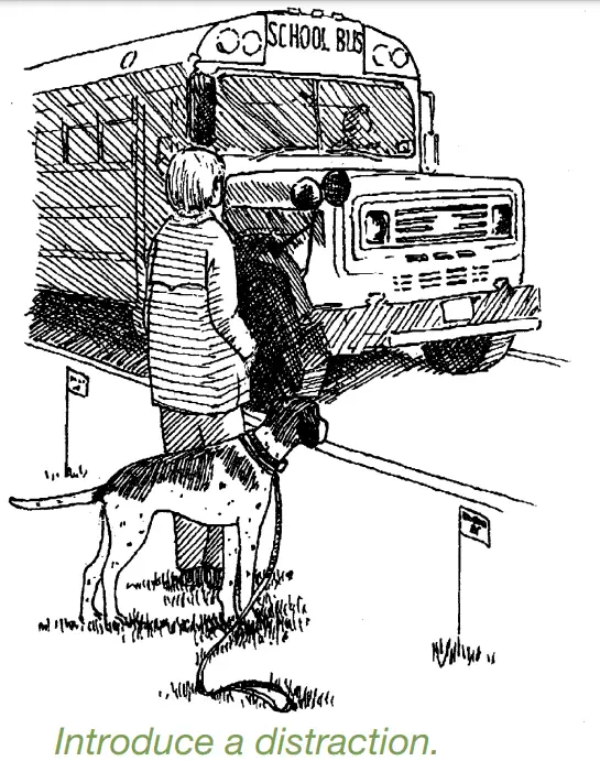 DogWatch ProFence - Hidden Fence System -DOG FIG