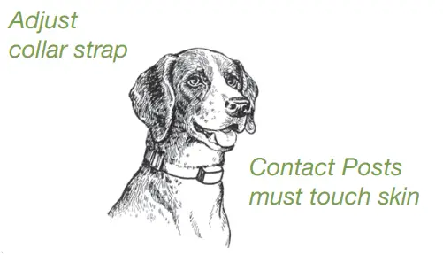 DogWatch ProFence - Hidden Fence System =-DOG1