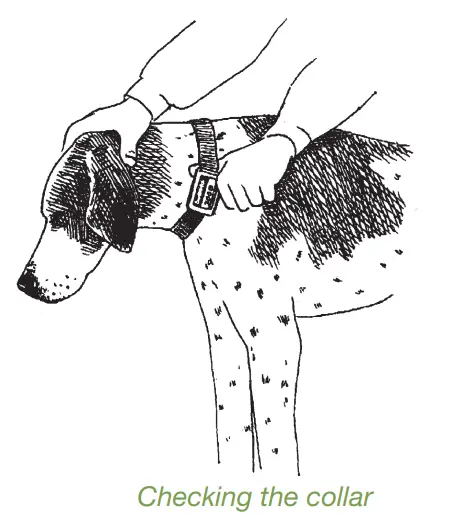 DogWatch ProFence - Hidden Fence System -FIG524