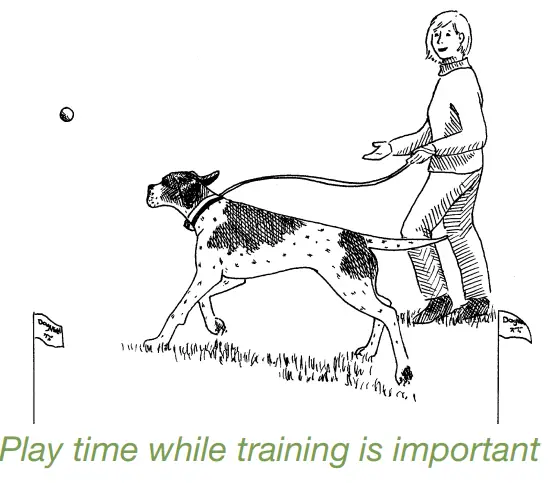 DogWatch ProFence - Hidden Fence System -FIG635