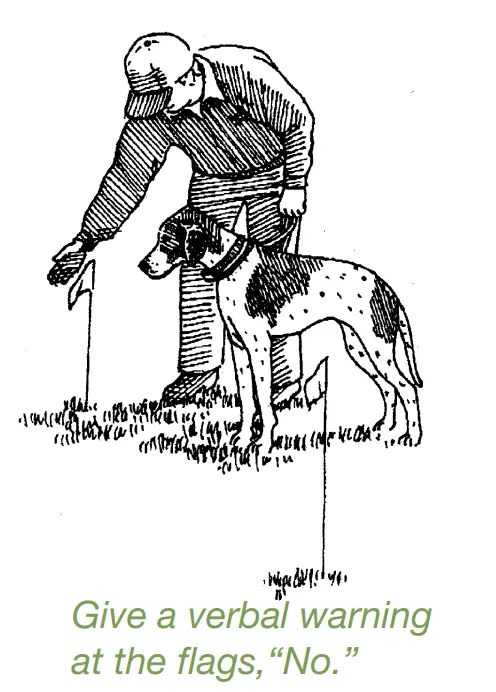 DogWatch ProFence - Hidden Fence System -FIG654