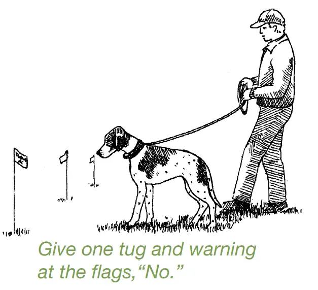 DogWatch ProFence - Hidden Fence System -FIGD