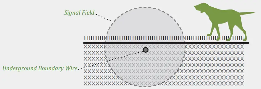 DogWatch ProFence - Hidden Fence System -ICOV45