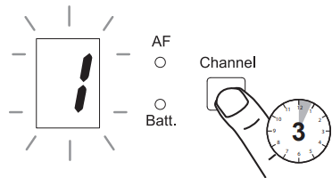 MASCOT DR 024 2 4GHz Digital Wireless Microphone System - button