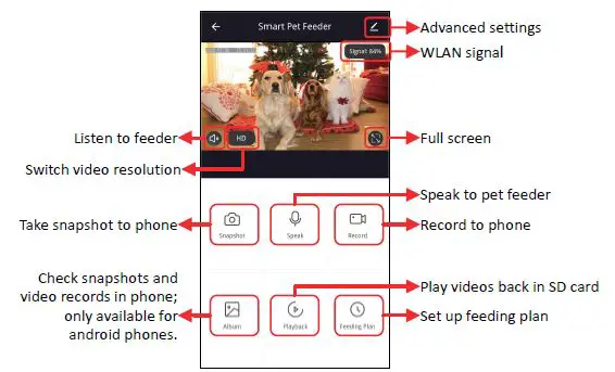 Shen-Zhen-Keekoonvision-Technology-PP003-Smart Pe-Feeder-4