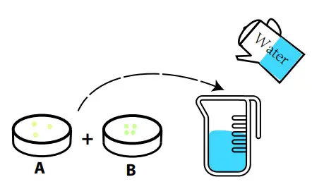 Dongguan E Chief Electronic Technologies SGH01 Hydroponics Growing System - figure 7