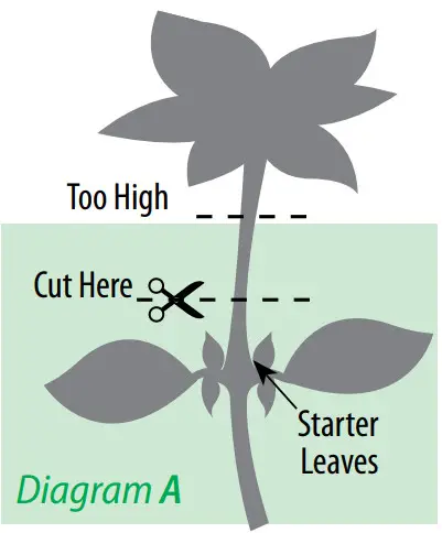 Dongguan E Chief Electronic Technologies SGH01 Hydroponics Growing System - figure 9