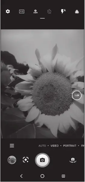 TCL T602DL 30 Z Smartphone - Picture Display