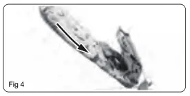 anko 43139767 Jungle Baby Bouncer - fig4