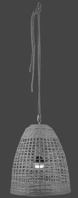 LeuchtenDirekt 19921-79 DAVID LED Pendant Light