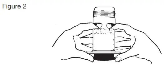 WATTS 4000SS FS Ames Fire and Waterworks - Servicing the Relief Valve 2