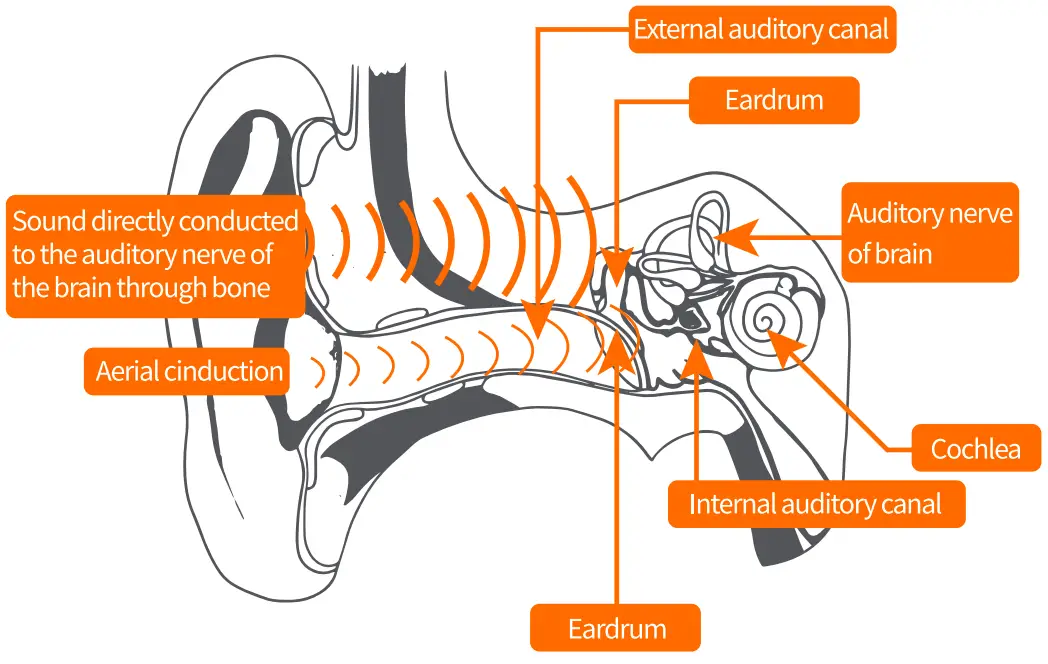 Principles of bone conduction