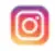 Instagram Icon