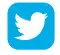 Twitter Icon