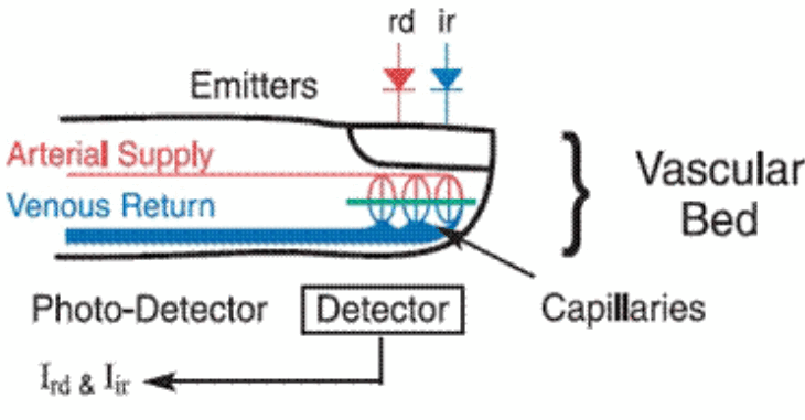 SMART METER SMPO1000 US Pulse Oximeter - Diagram of Measurement Principle