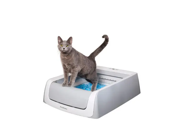 Petsafe Pal00-16805 Scoopfree Self-cleaning Litter Box User Manual