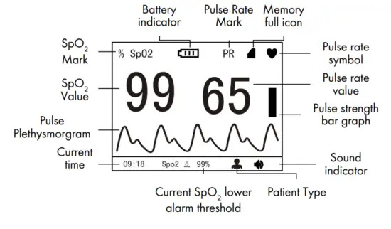 CMI HEALTH PC 66H Handheld Pulse Oximeter - Screen Display