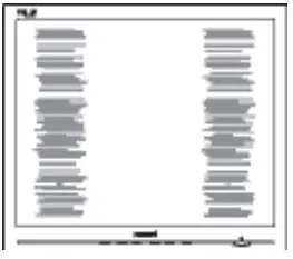 PHILIPS 193V5LSB2 LCD Monitor - Vertical flicker appears