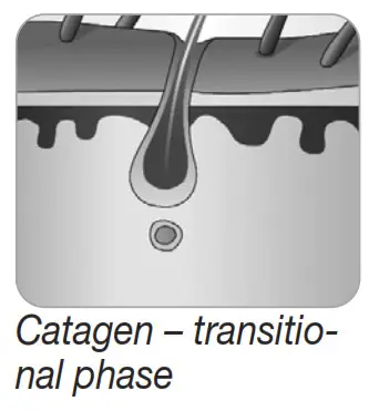 beurer IPL 8500 Velvet Skin Pro Long Lasting Hair Removal -fig 5