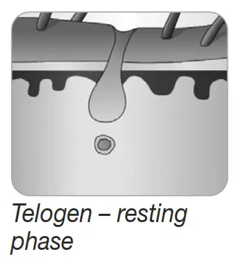 beurer IPL 8500 Velvet Skin Pro Long Lasting Hair Removal -fig 6