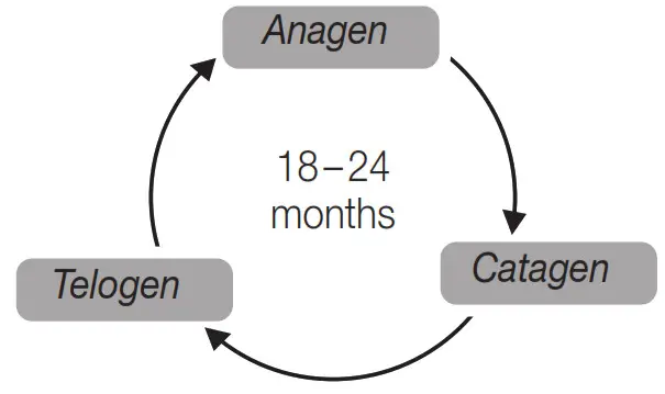 beurer IPL 8500 Velvet Skin Pro Long Lasting Hair Removal -fig 7