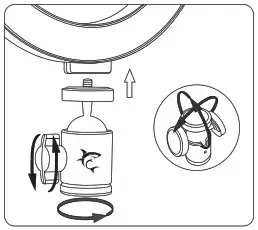 white shark RL-08 Ring LED Light - 1