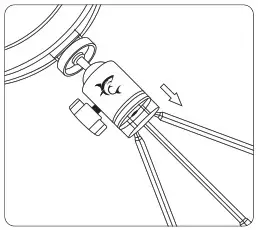 white shark RL-08 Ring LED Light - 2