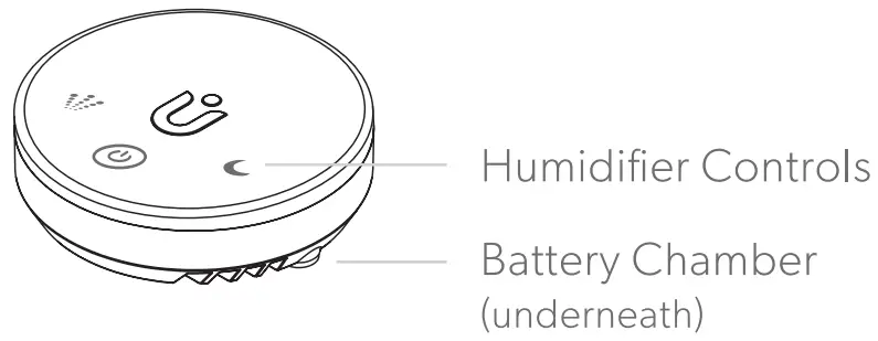 Included in your box