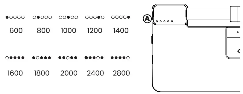 Contour RollerMouse Pro - 4+