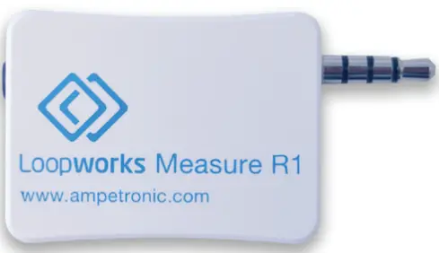 Loopworks™ R1 receiver