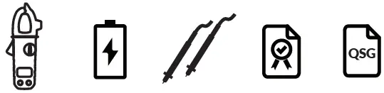 MASTECH MS2033A Digital Clamp Meter FIg1