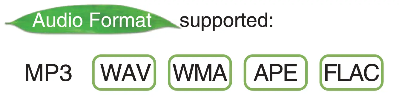 WinBridge-T9-Bluetooth-Portable-PA-Speaker-System-fig-12