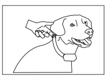 PATPET A12 Anti Bark Dog Collar-fig7