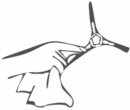 Cleaning Instruction