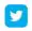 Twitter Icon