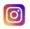 Instagram Icon
