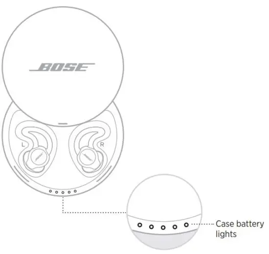 FIG 24 CHARGING CASE BATTERY LIGHTS.JPG