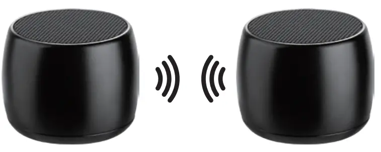 Franklin BT01 Mini Bluetooth Speaker