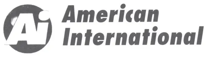 American International logo