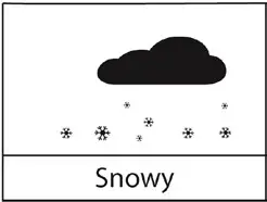 BEARWARE 303717 Weatherstation - Snow