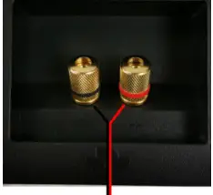 TOTEM-KinForce-Multi-Channel-Magic- Fig 5